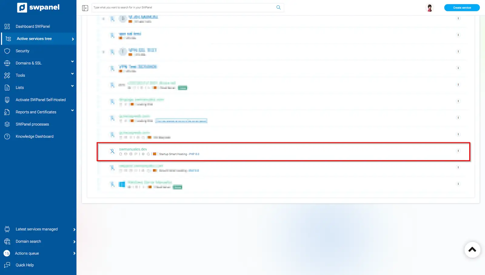 - Screenshot 1 (access to the service)