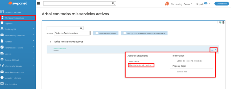 - Captura 1 (acceso al servicio)